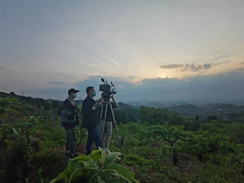 创意破圈！施甸县电商产品宣传视频用故事化叙事引爆流量