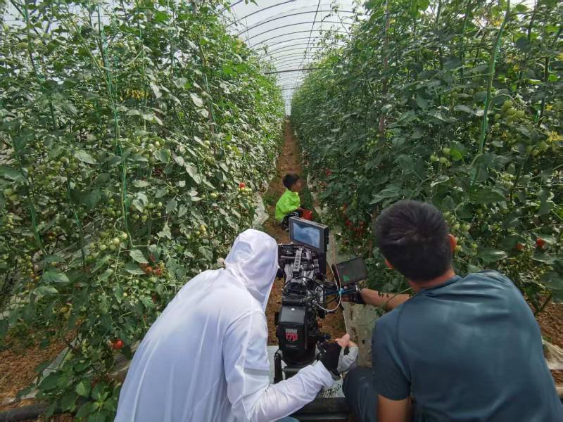 施甸县产品宣传视频拍摄公司进阶指南，助力品牌抢占传播高地